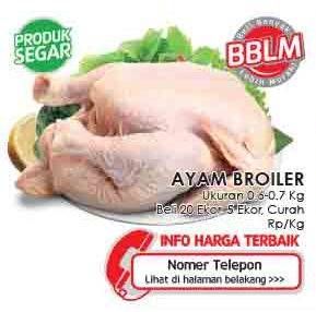 Promo Harga Ayam Broiler  - LotteMart