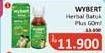 Promo Harga Wybert Obat Batuk Plus Herbal 60 ml - Alfamidi
