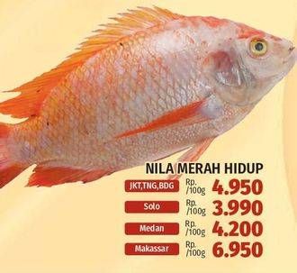 Promo Harga Ikan Nila Merah Hidup per 100 gr - LotteMart