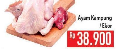 Promo Harga Ayam Kampung  - Hypermart