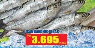 Promo Harga Ikan Bandeng Besar per 100 gr - Hari Hari