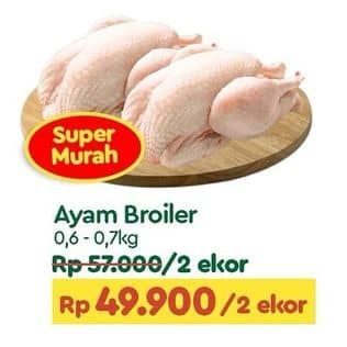 Promo Harga Ayam Broiler 600 gr - TIP TOP