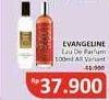 Promo Harga Evangeline Eau De Parfume All Variants 100 ml - Alfamidi