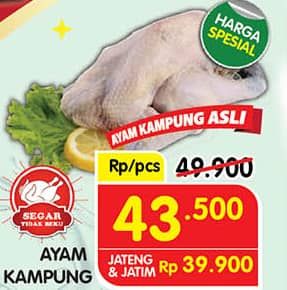 Promo Harga Ayam Kampung 500 gr - Superindo