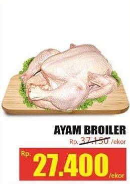 Promo Harga Ayam Broiler  - Hari Hari