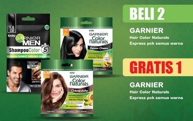 Promo Harga GARNIER Hair Color All Variants 40 ml - Indomaret