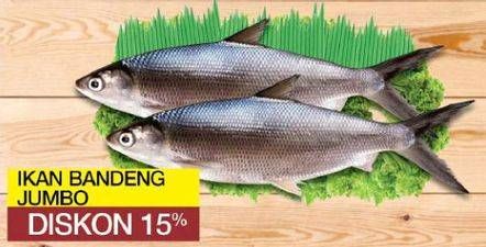 Promo Harga Ikan Bandeng Jumbo per 100 gr - Yogya
