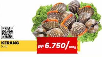 Promo Harga Kerang Darah per 100 gr - Yogya