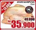 Promo Harga Ayam Kampung  - Giant