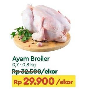 Promo Harga Ayam Broiler 700 gr - TIP TOP