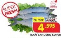 Promo Harga Ikan Bandeng Super per 100 gr - Superindo