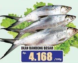 Promo Harga Ikan Bandeng Besar per 100 gr - Hari Hari