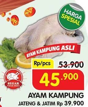 Promo Harga Ayam Kampung 500 gr - Superindo