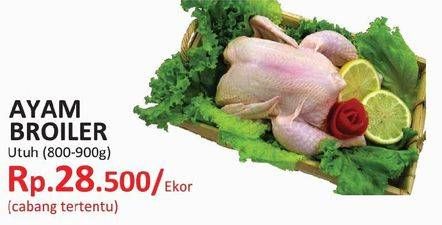 Promo Harga Ayam Broiler  - Yogya