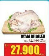 Promo Harga Ayam Broiler  - Hari Hari