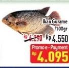 Promo Harga Ikan Gurame per 100 gr - Hypermart