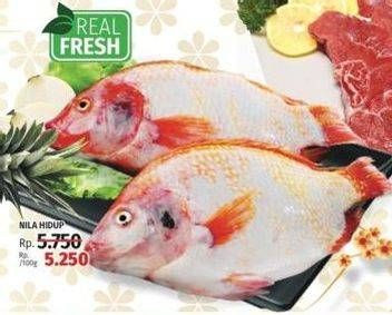 Promo Harga Ikan Nila Hidup per 100 gr - LotteMart