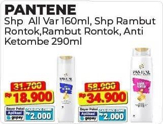 Promo Harga Pantene Shampoo Hair Fall Control, Anti Dandruff 290 ml - Alfamart