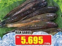 Promo Harga Ikan Gabus per 100 gr - Hari Hari