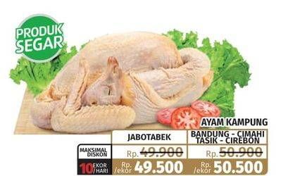 Promo Harga Ayam Kampung  - Lotte Grosir