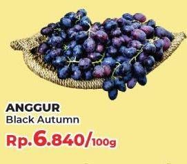 Promo Harga Anggur Black Autumn per 100 gr - Yogya