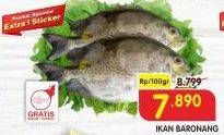 Promo Harga Ikan Baronang per 100 gr - Superindo