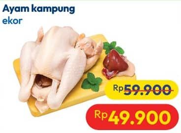 Promo Harga Ayam Kampung 500 gr - Hypermart