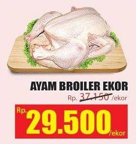 Promo Harga Ayam Broiler  - Hari Hari