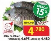 Promo Harga Ikan Gurame per 100 gr - Superindo