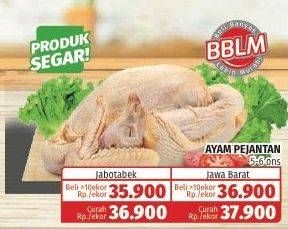 Promo Harga Ayam Pejantan 500 gr - Lotte Grosir