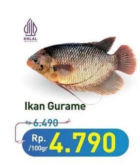 Promo Harga Ikan Gurame per 100 gr - Hypermart