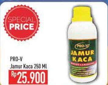 Promo Harga PRO-V Jamur Kaca 250 ml - Hypermart