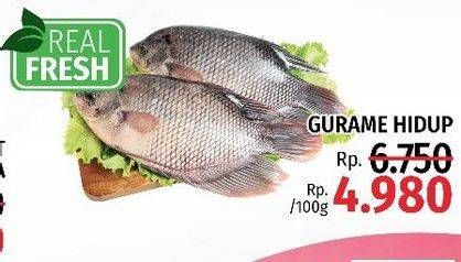 Promo Harga Ikan Gurame per 100 gr - LotteMart