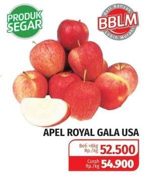 Promo Harga Apel Royal Gala USA  - Lotte Grosir