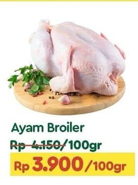 Ayam Broiler