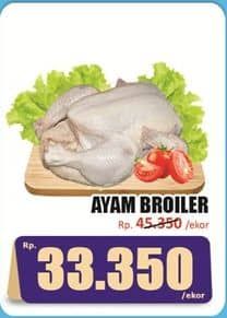 Ayam Broiler