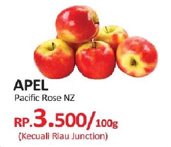 Promo Harga Apel Pacific Rose NZ per 100 gr - Yogya