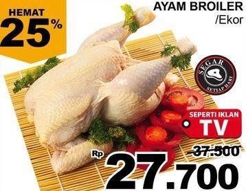 Promo Harga Ayam Broiler  - Giant