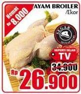 Promo Harga Ayam Broiler  - Giant