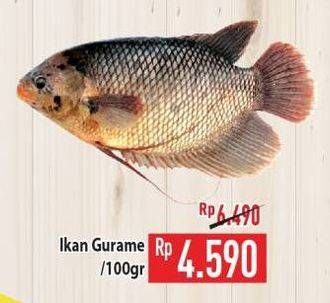 Promo Harga Ikan Gurame per 100 gr - Hypermart