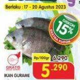 Promo Harga Ikan Gurame per 100 gr - Superindo