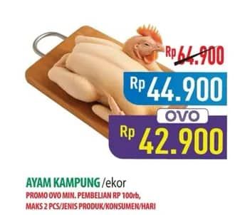 Promo Harga Ayam Kampung 500 gr - Hypermart