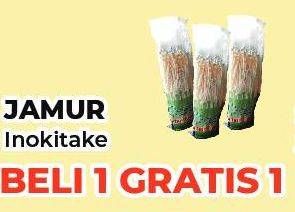 Promo Harga Jamur Inokitake (Jamur Enokitake)  - Yogya