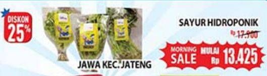 Promo Harga Sayur Hidroponik  - Hypermart