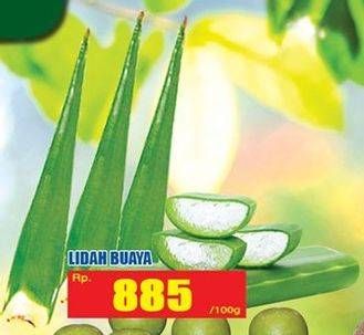 Promo Harga Lidah Buaya per 100 gr - Hari Hari