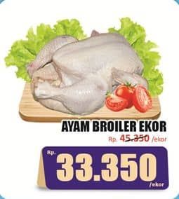 Ayam Broiler