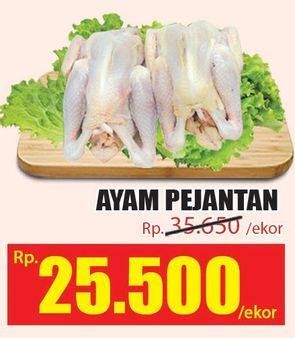 Promo Harga Ayam Pejantan  - Hari Hari