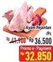 Promo Harga Ayam Pejantan 500 gr - Hypermart