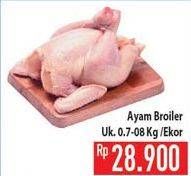 Promo Harga Ayam Broiler  - Hypermart