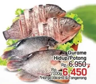Promo Harga Ikan Gurame per 100 gr - LotteMart